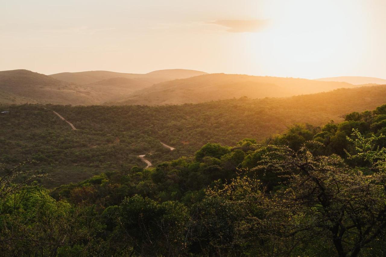 Rhino Ridge Safari Lodge KwaNompondo Ngoại thất bức ảnh