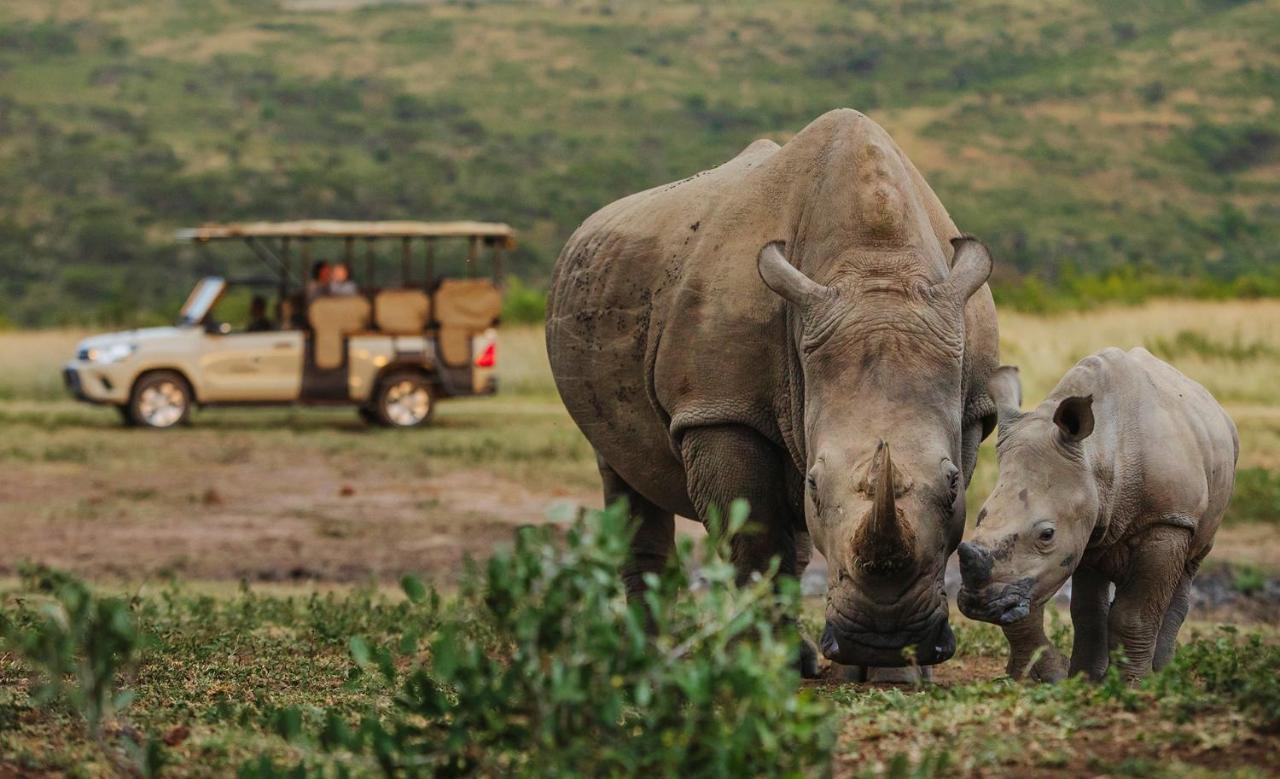 Rhino Ridge Safari Lodge KwaNompondo Ngoại thất bức ảnh