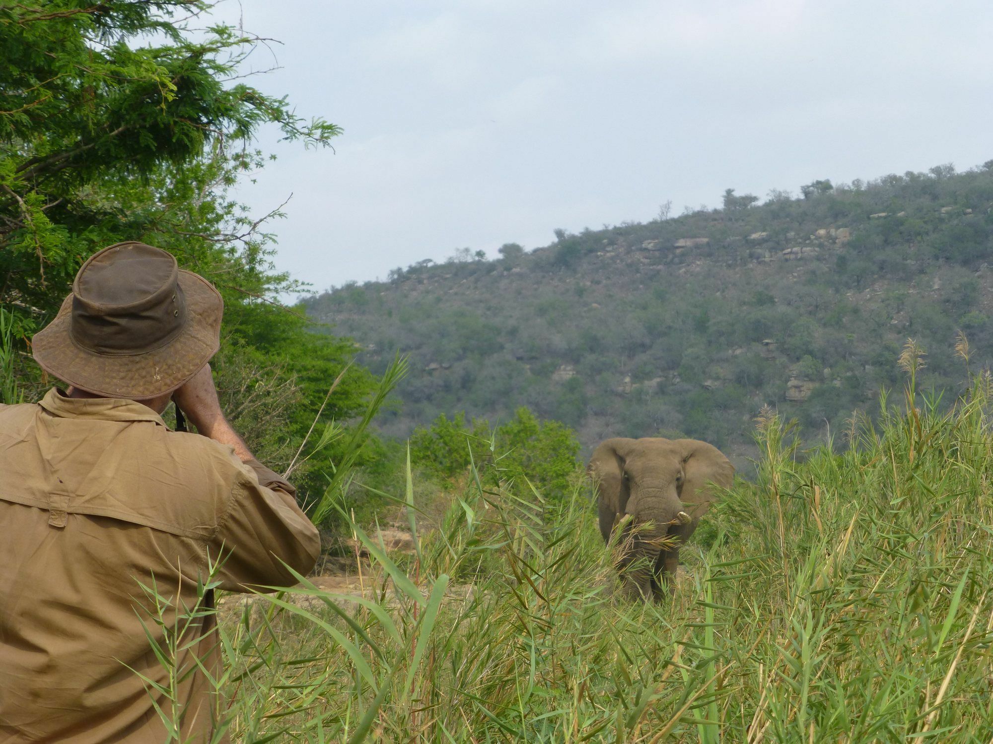 Rhino Ridge Safari Lodge KwaNompondo Ngoại thất bức ảnh